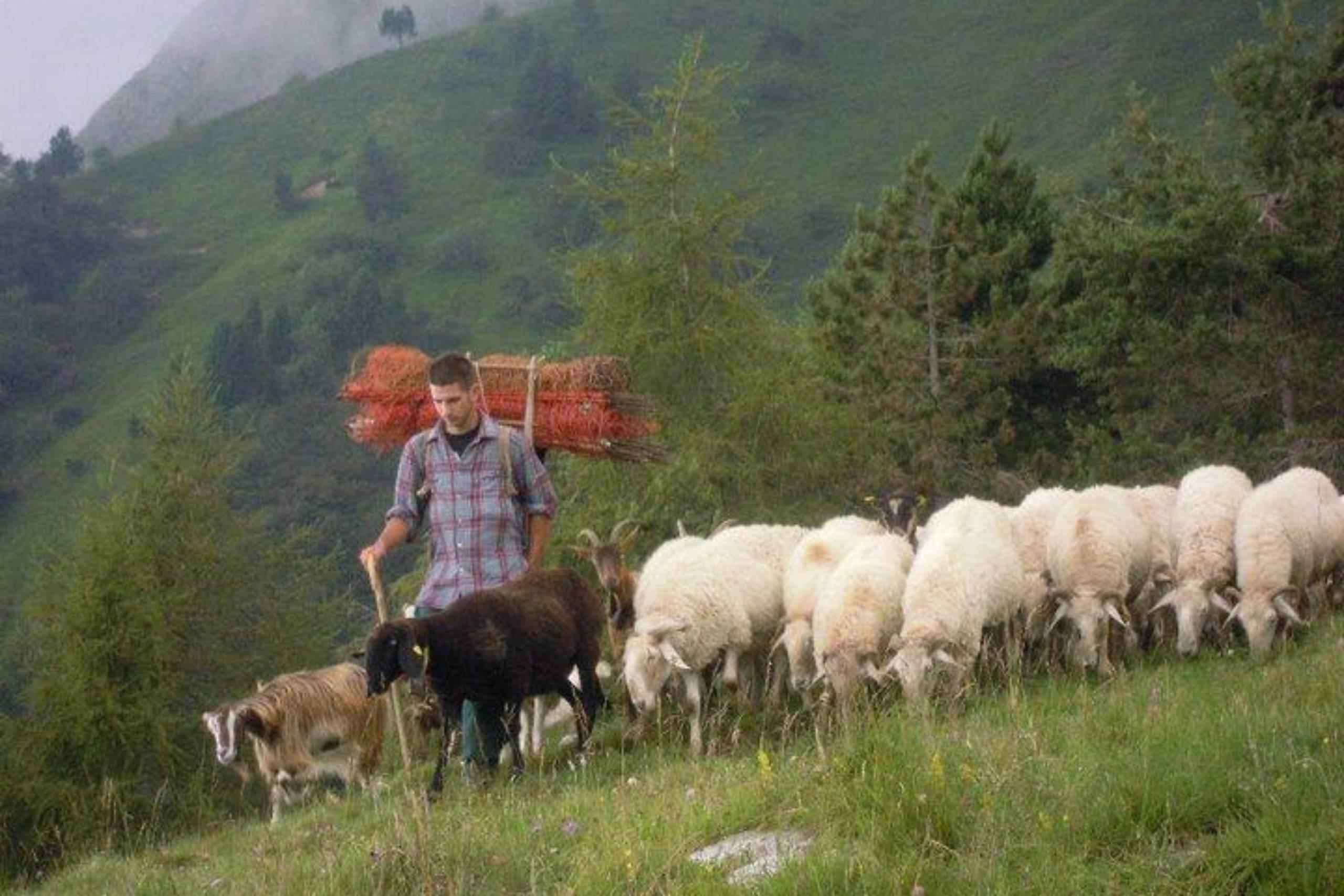 Azienda Agricola Bortoluzzi Davide