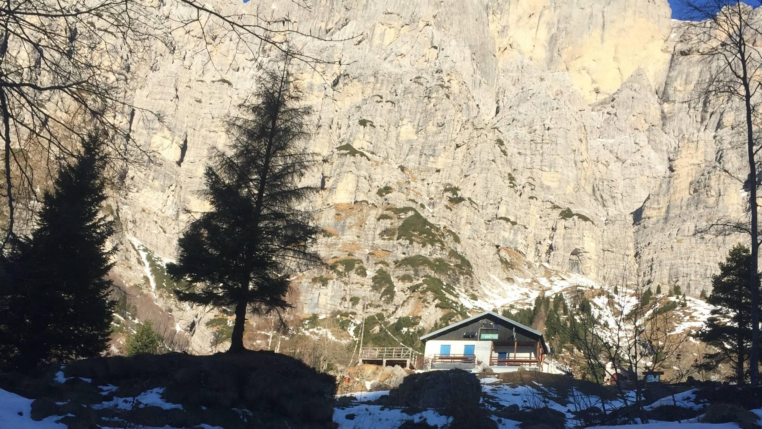 Rifugiati in rifugio