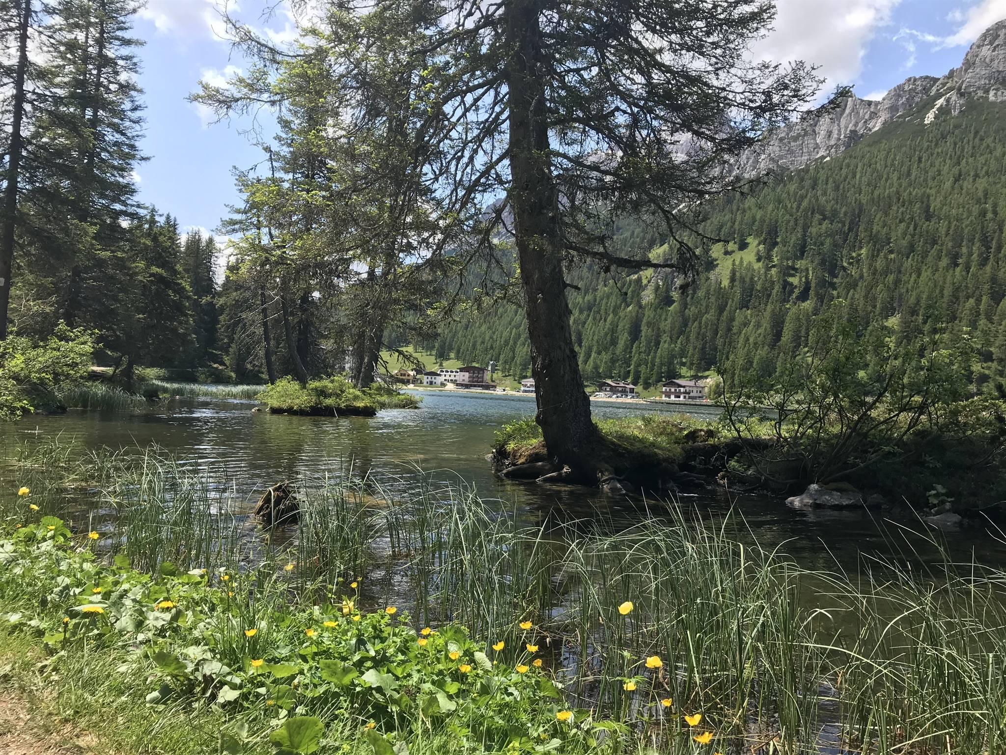 Lago di Misurina - 2
