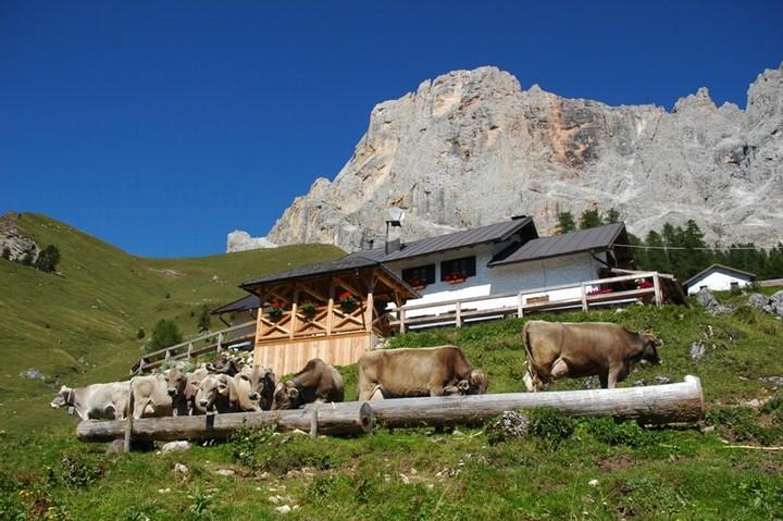 Ski- and holiday area Gitschberg Jochtal