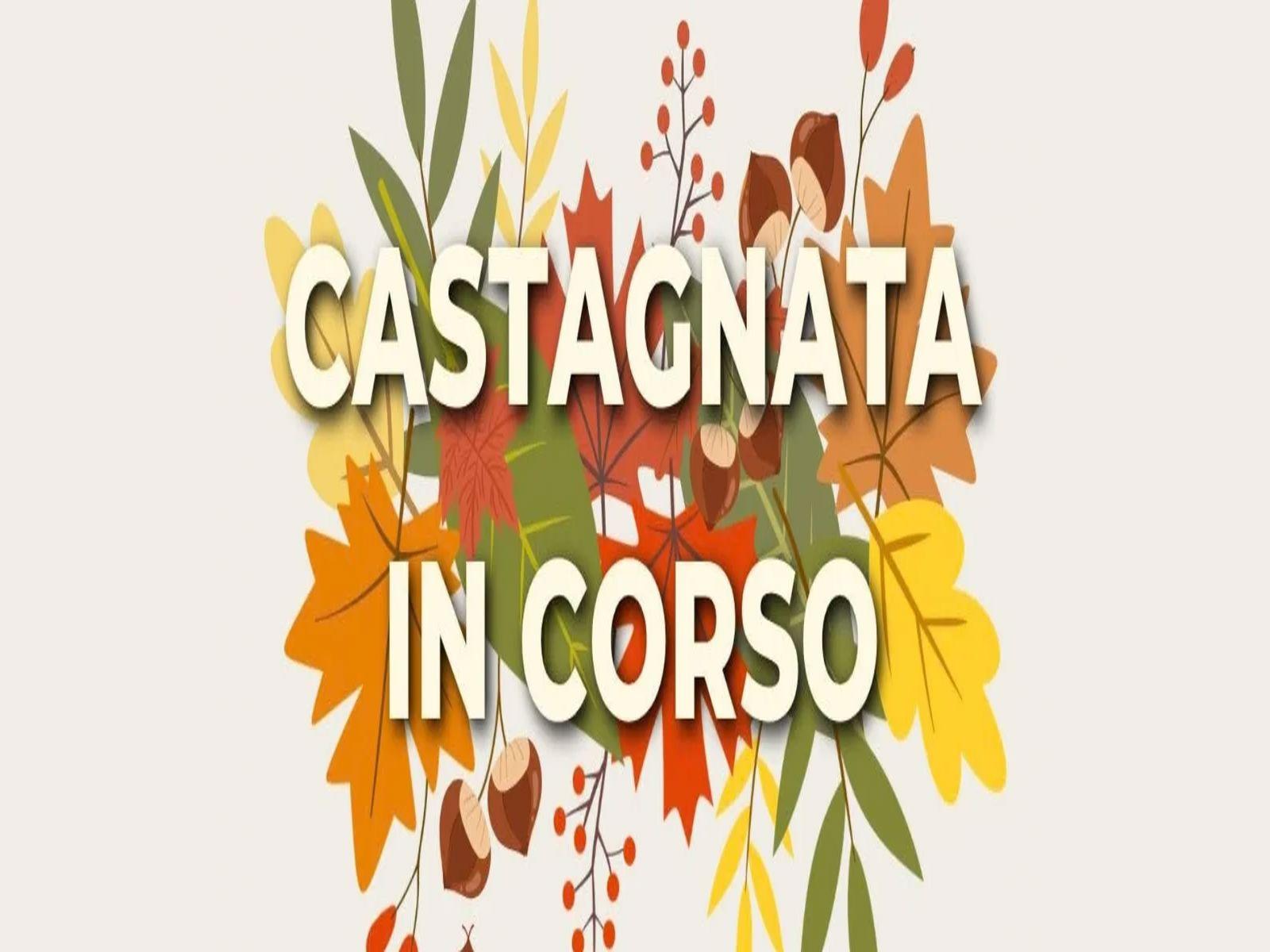 Castagnata in corso
