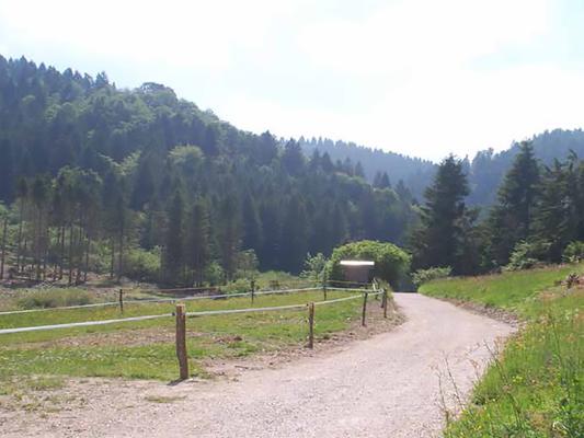 Percorso accessibile Meere - Le Zercole
