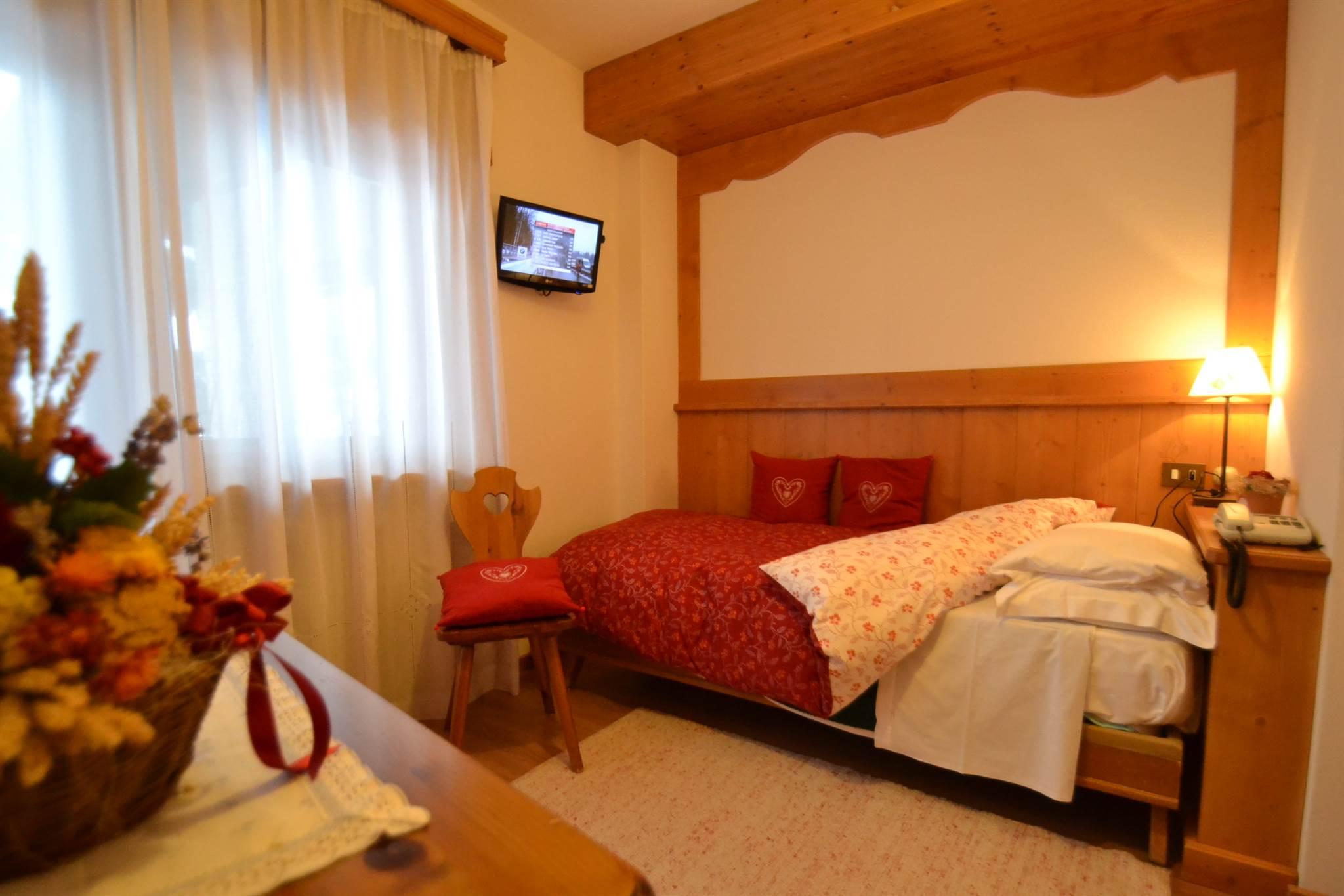 Single room, shower or bathtub, no smoker