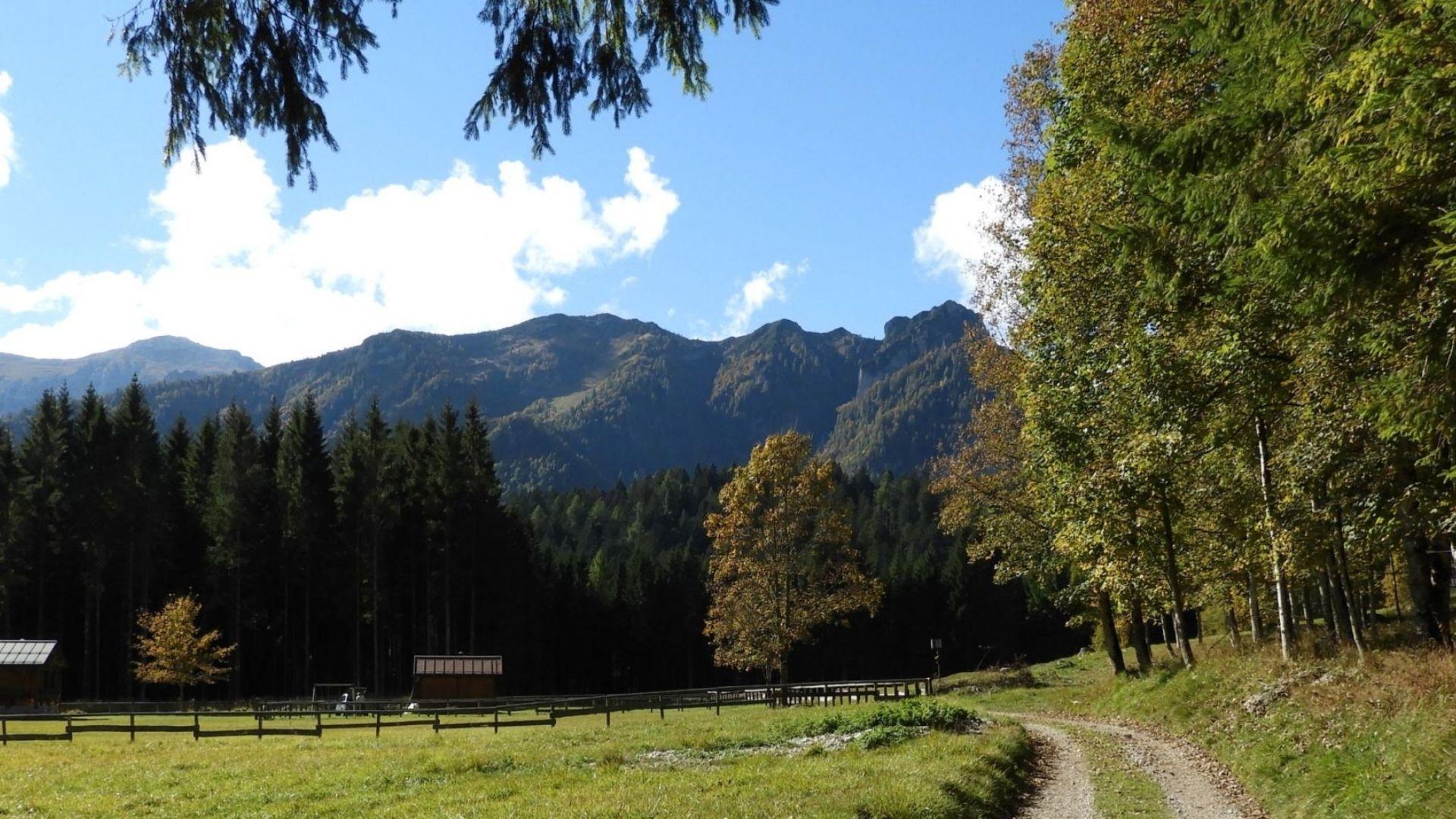 Il Zervoi e la Foresta di Cajada con Irene
