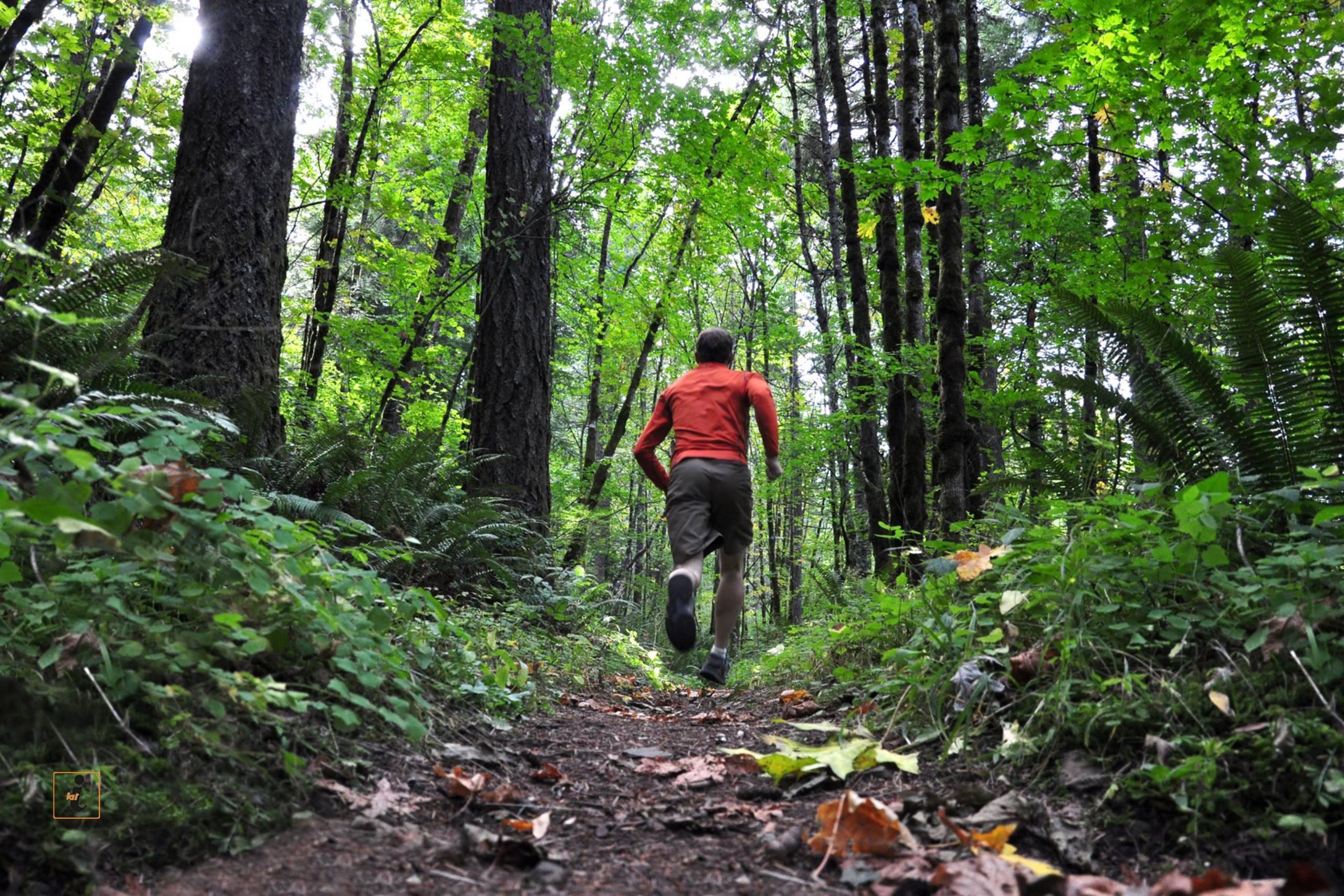 Trail delle Briglie