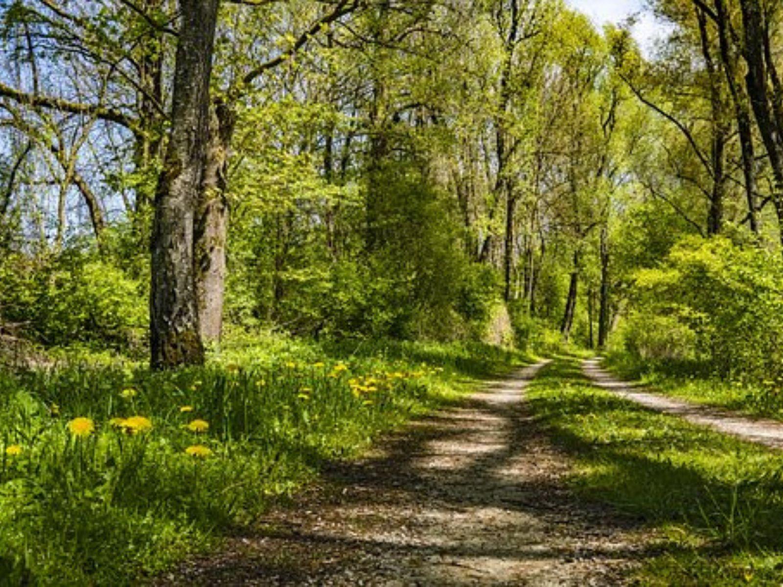 Passeggiate Naturalistiche a Moriago della Battaglia 