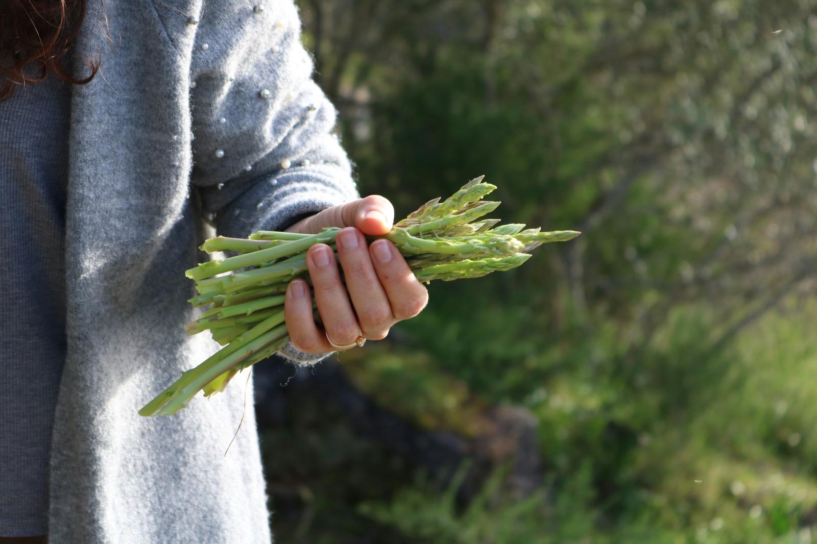 Festa dell'asparago 