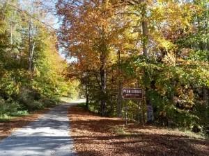 Bike tour Alpago - Foresta del Cansiglio - 2