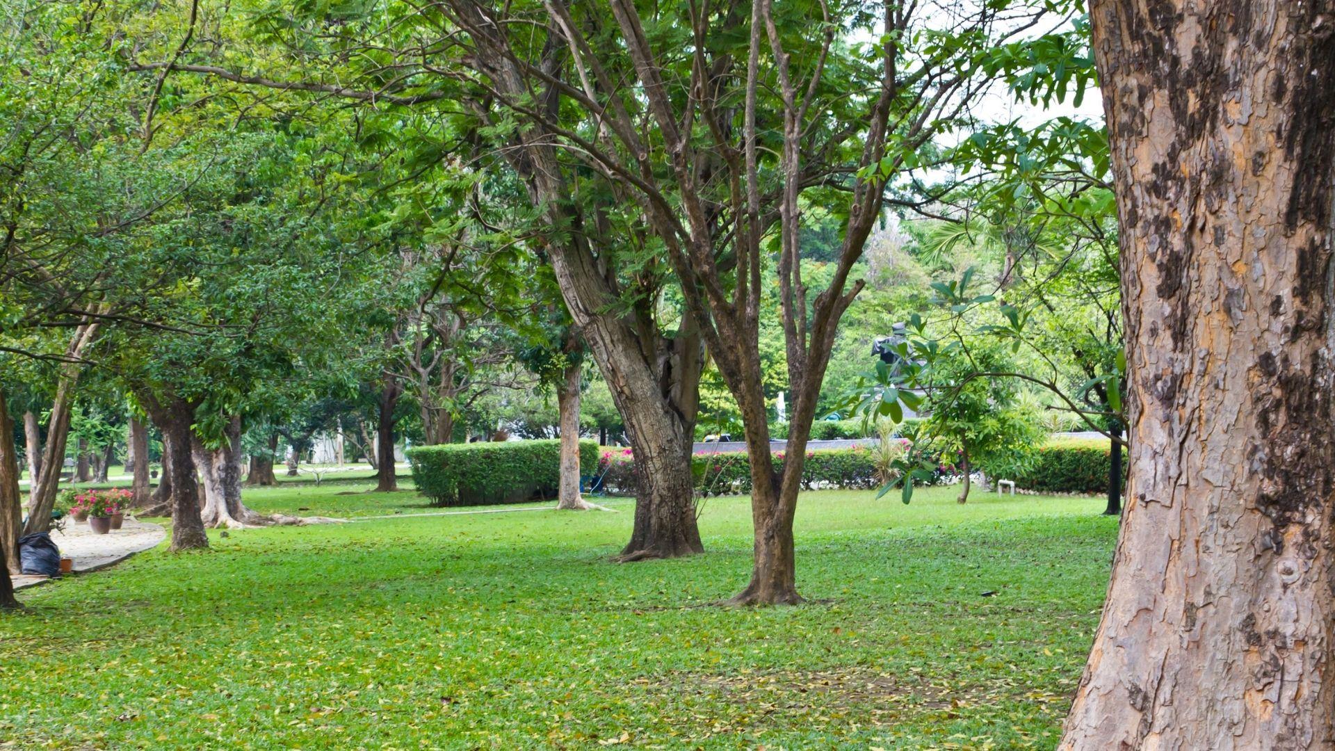 Alla scoperta dei monumenti “Verdi” della Città