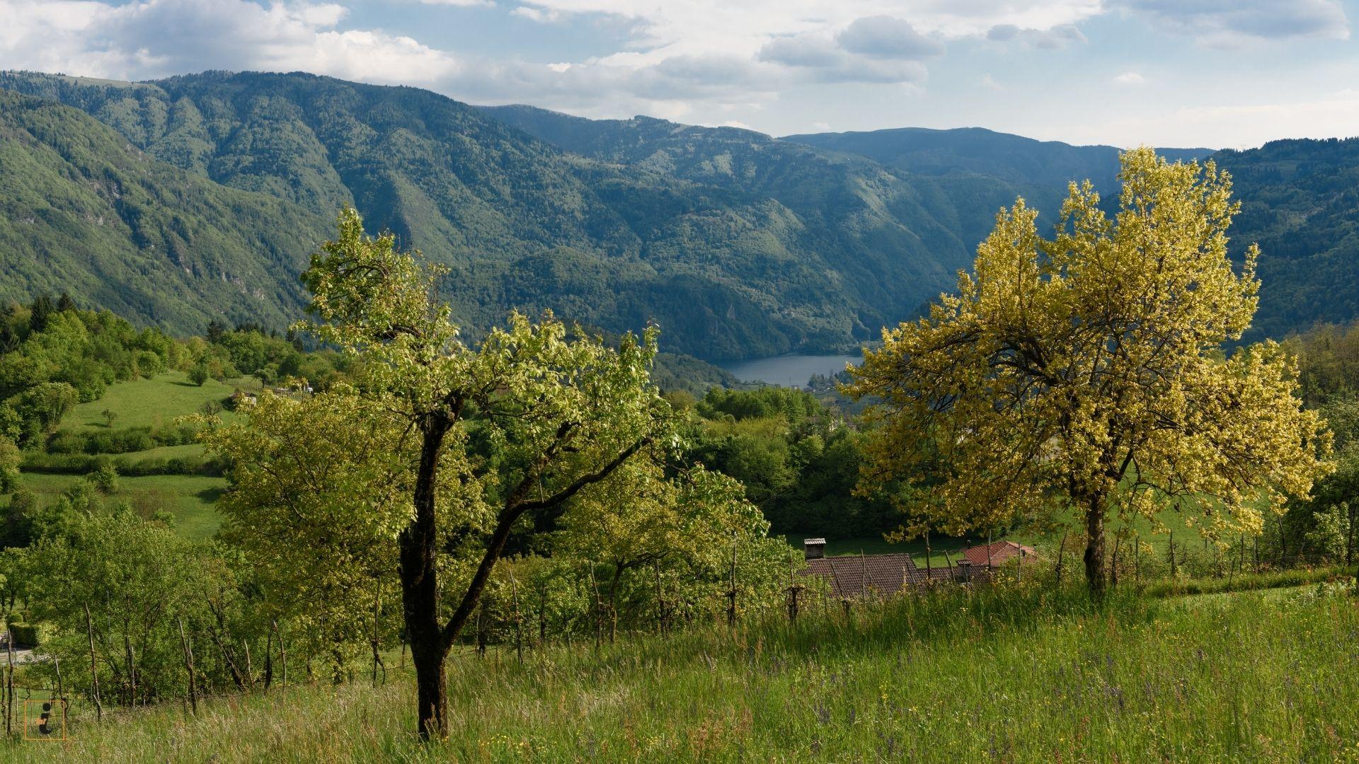 Arsié – Immagini di ieri e di oggi