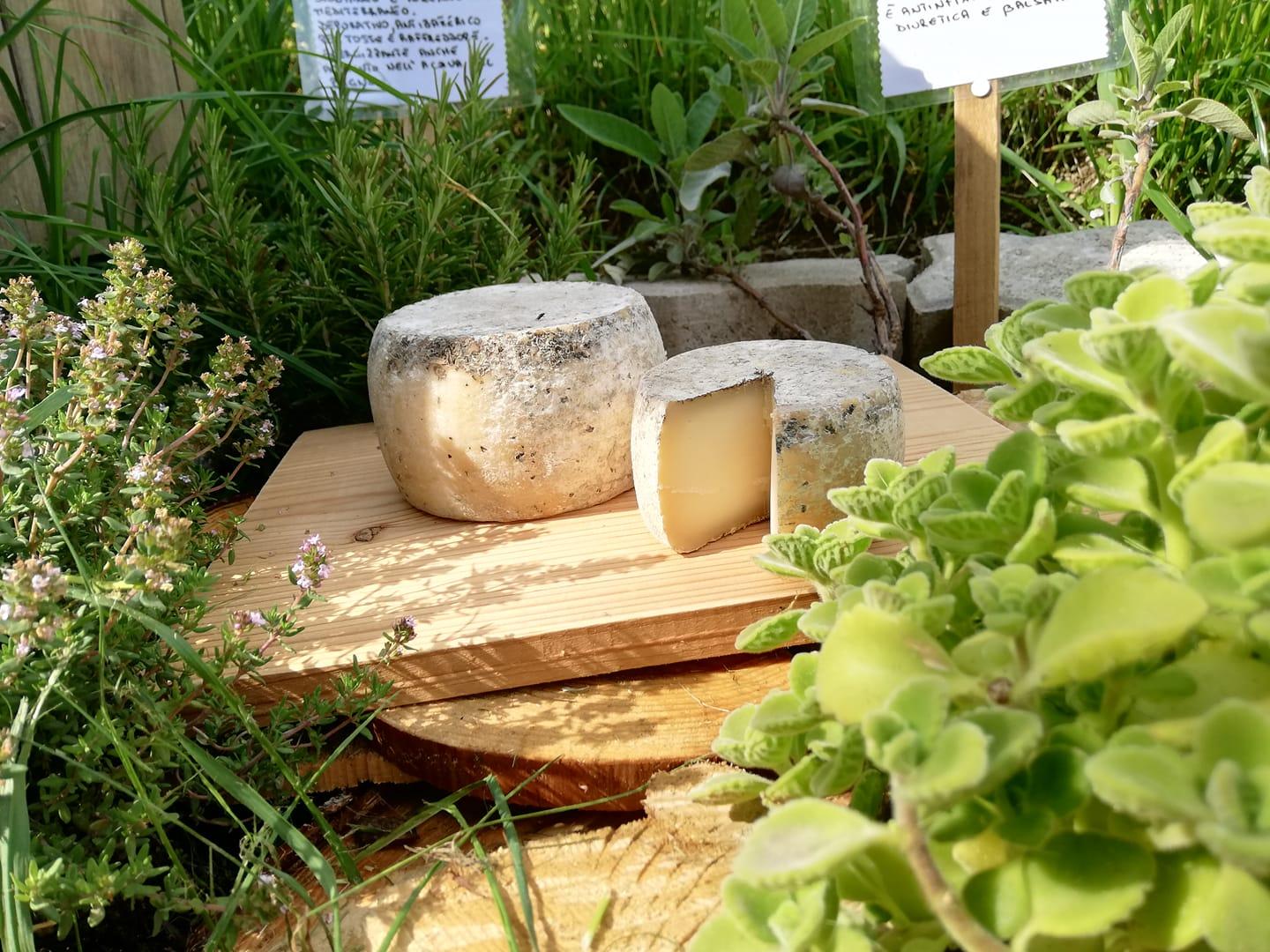 Azienda agricola Liliana - 2