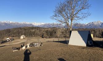 Az. Agricola “Il Cammino”