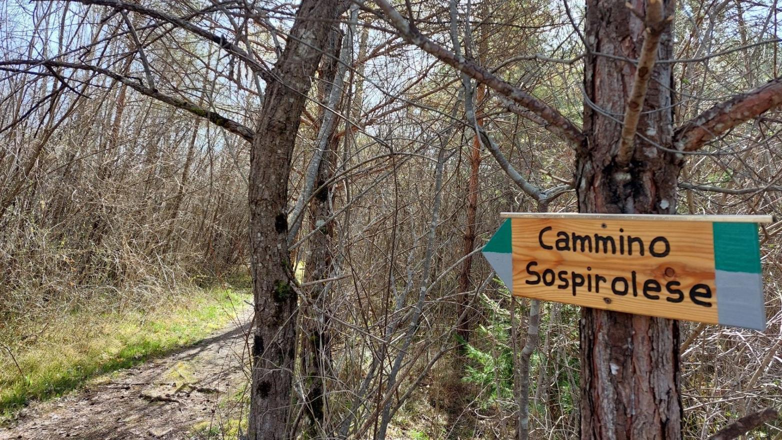 Cammino Sospirolese Trail