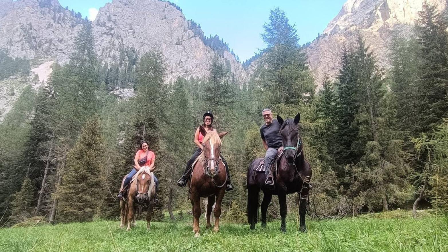 Esperienze a cavallo