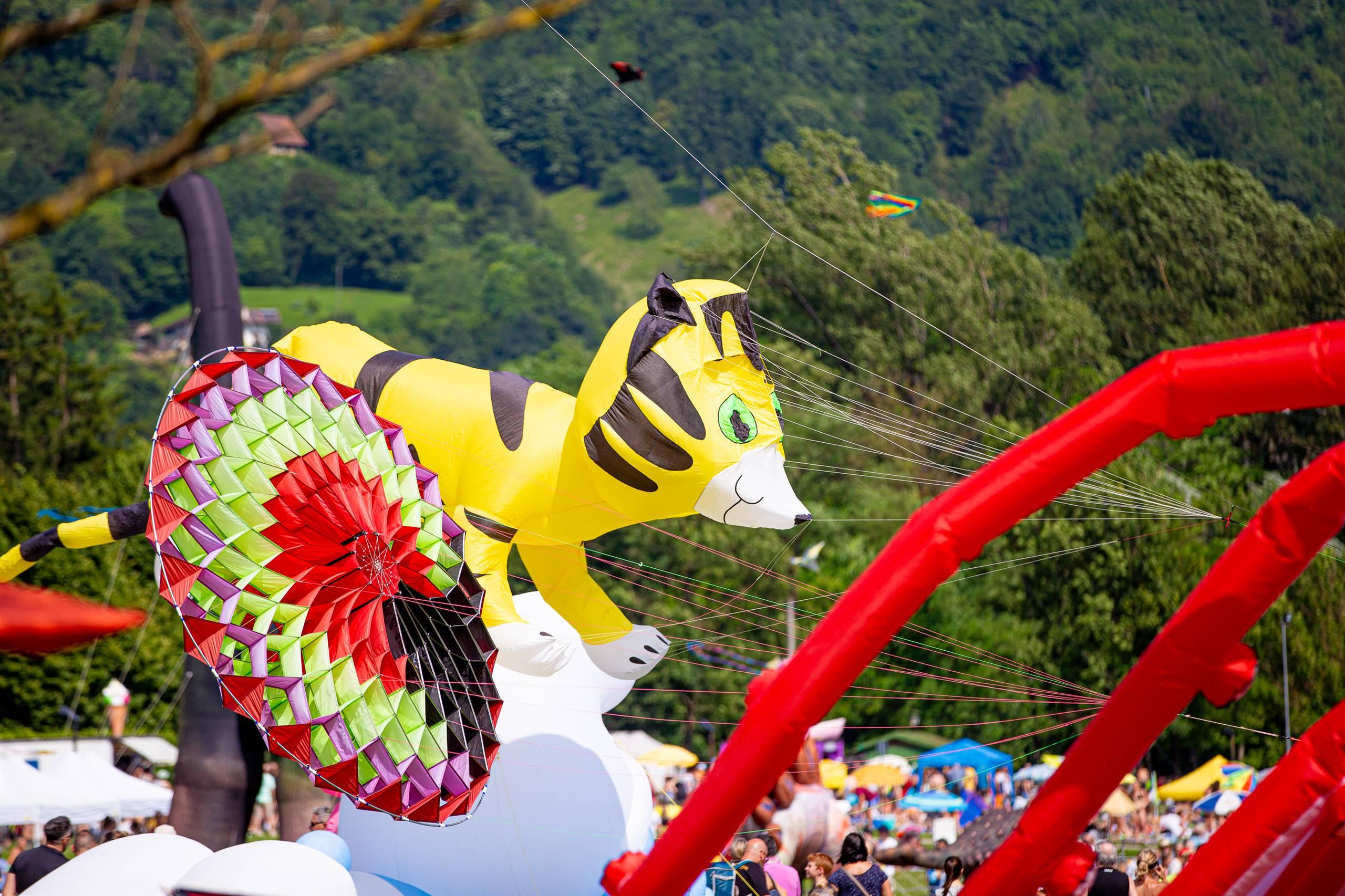 Festival degli Aquiloni