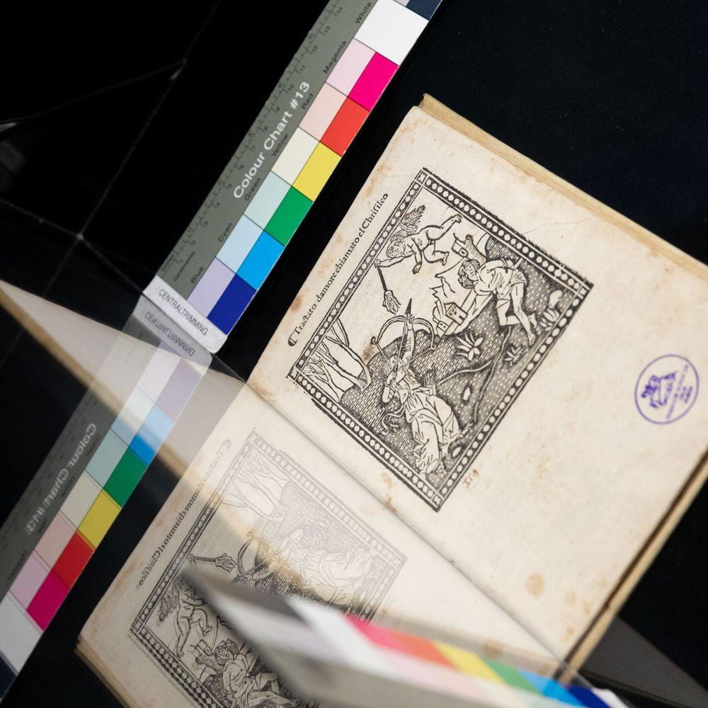 Archive: Le Nozze di Cana di Paolo Veronese. Storia di una ri-materializzazione 