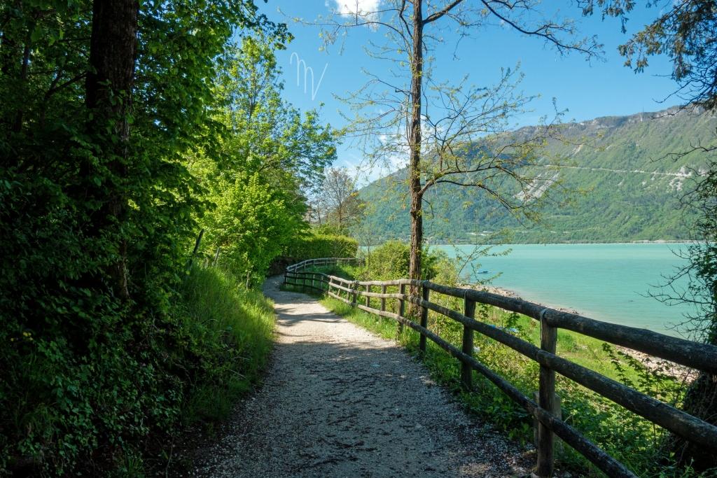 Sentiero Anello Nordic Walking Poiatte-Runal - 3