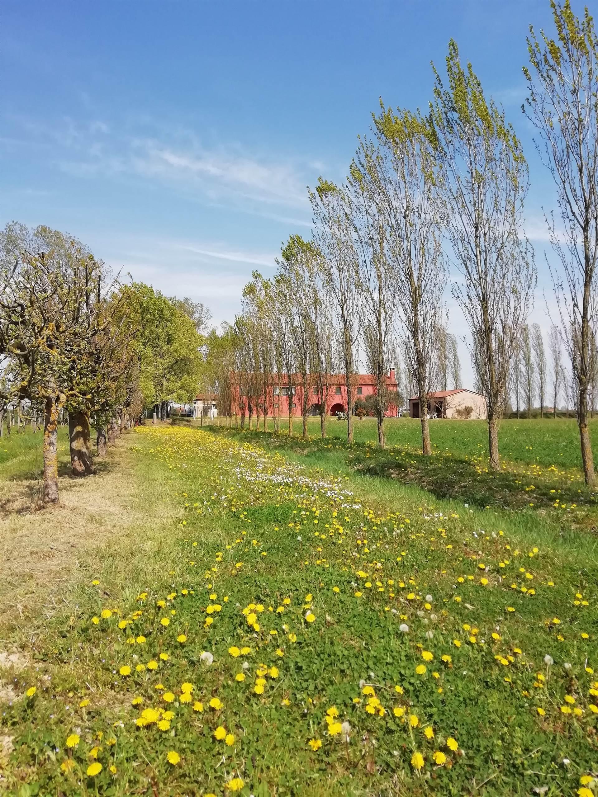 AGRITURISMO AMOLER
