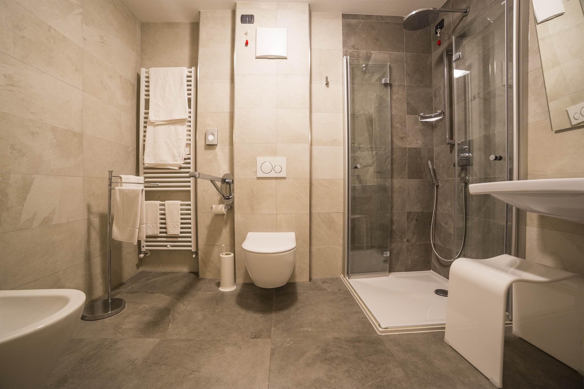 Double room, shower and bath, toilet, superior