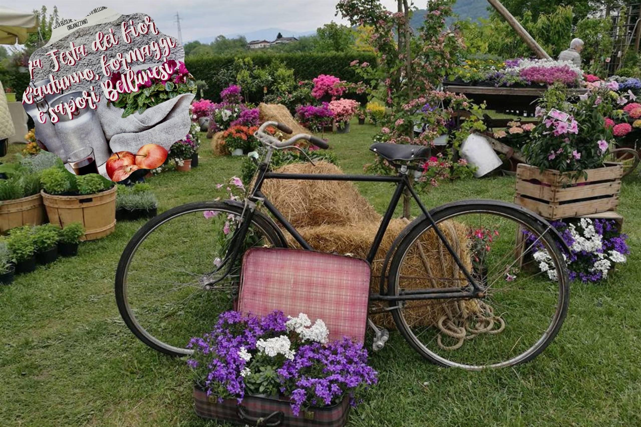 Festa dei fiori d’autunno, formaggi e sapori bellunesi