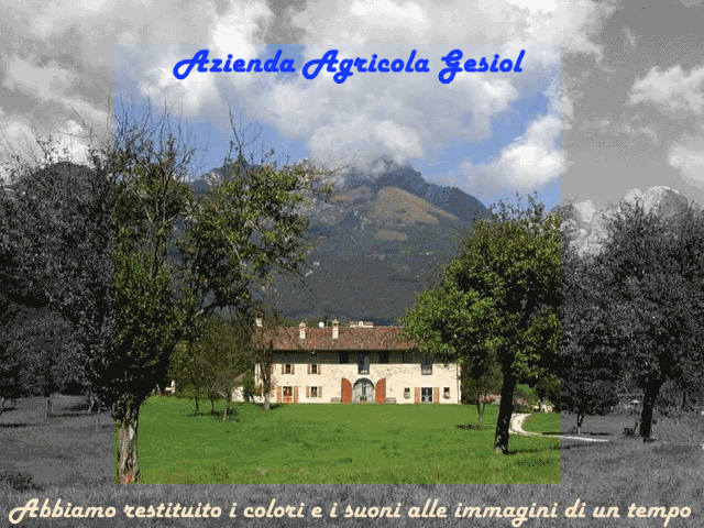 GESIOL DI BEDIN PATRIZIA