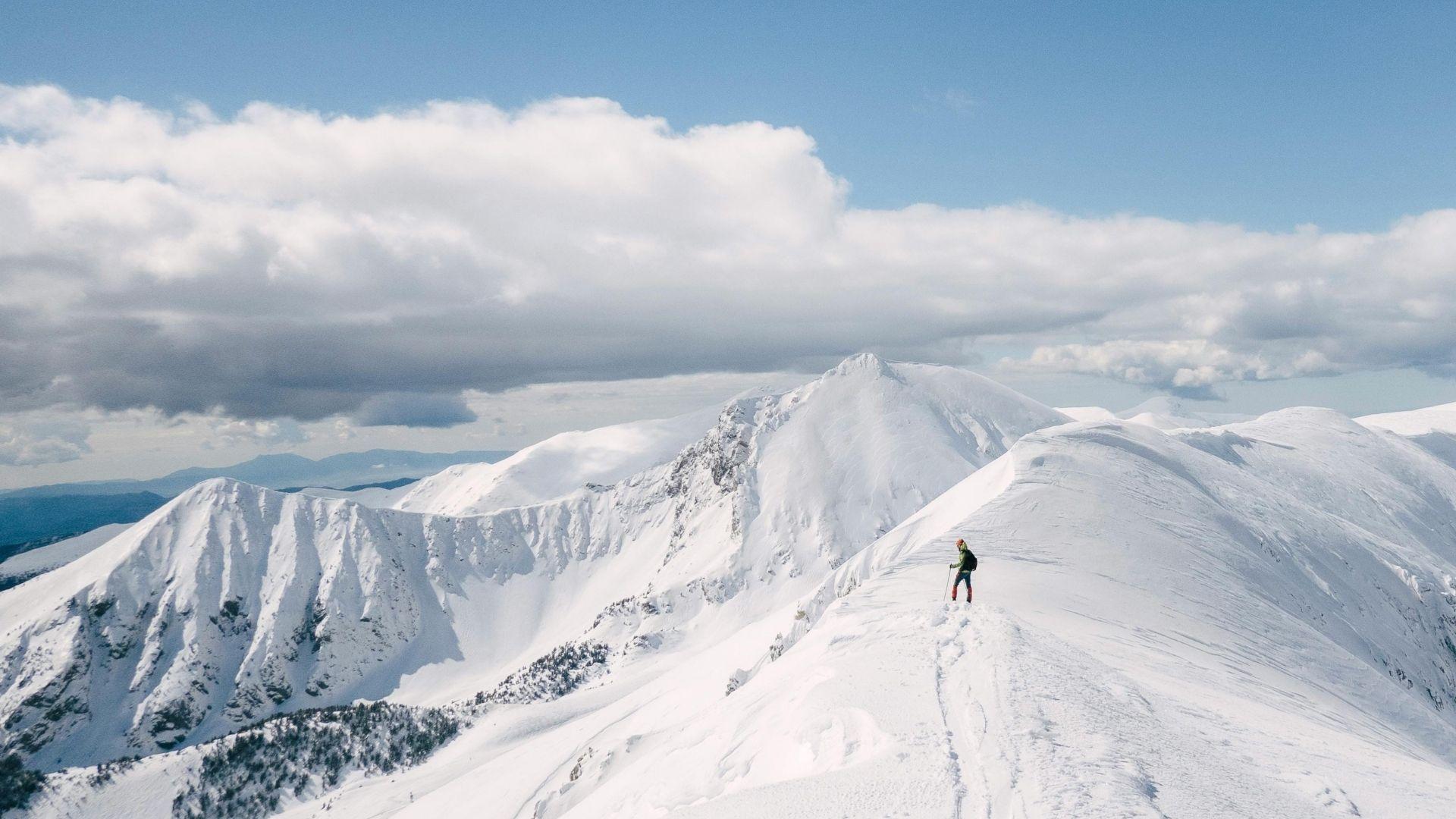 Film dal Trento Film Festival 2025