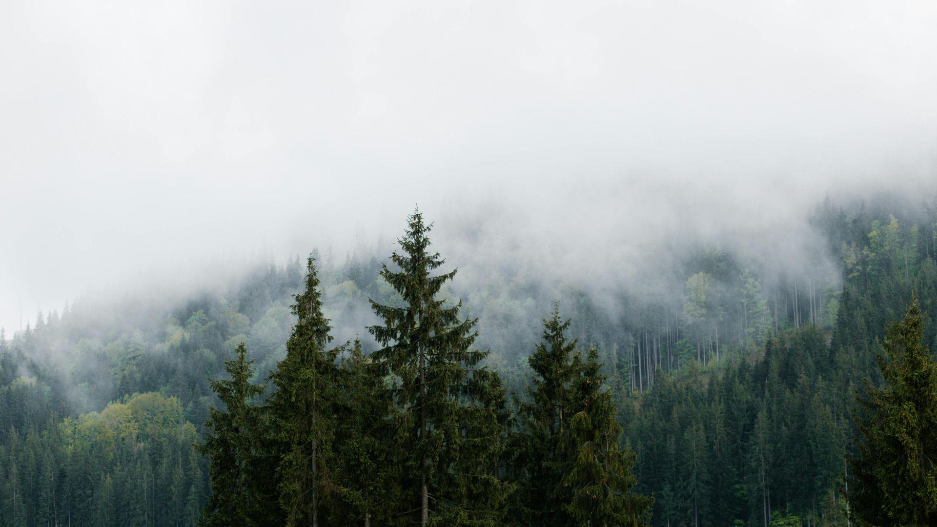 Arte e Racconto del Miracolo