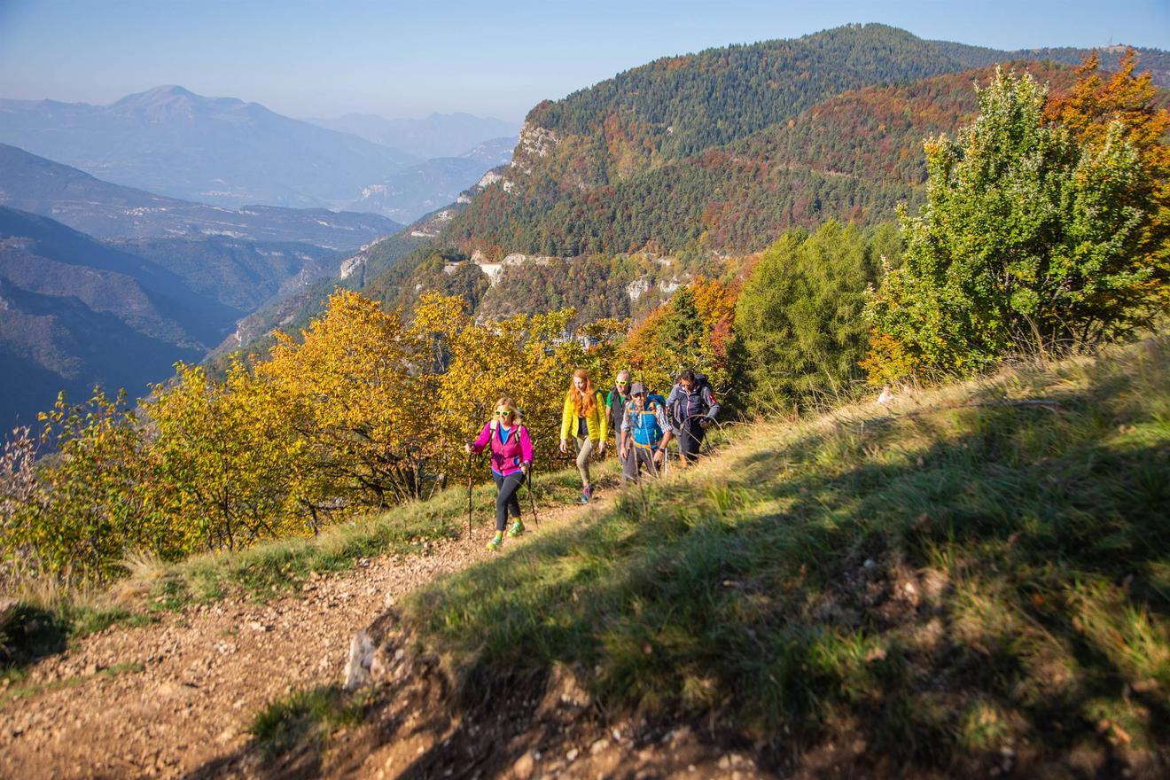 Alchimia d'autunno: una danza tra le foglie e la riflessione