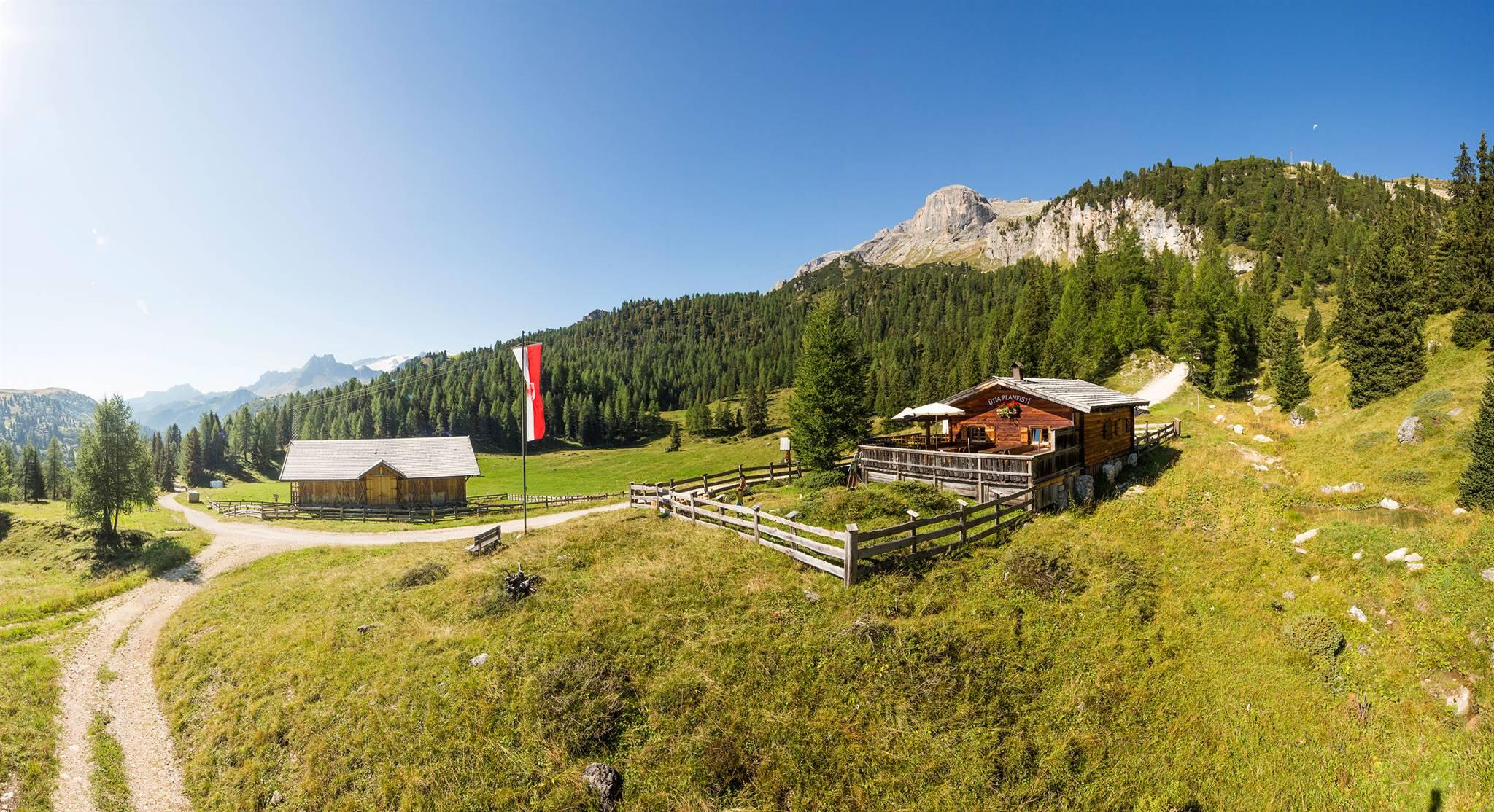 Malga Munt Planfistì - 3