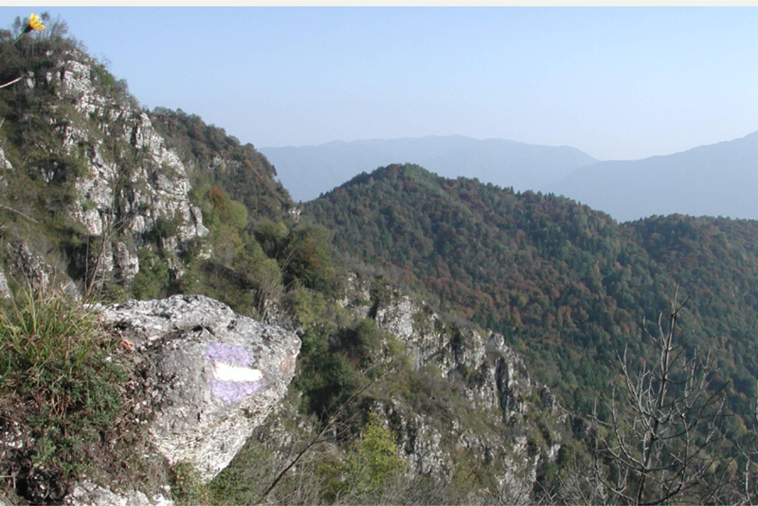 Covoli in Val di Lamen