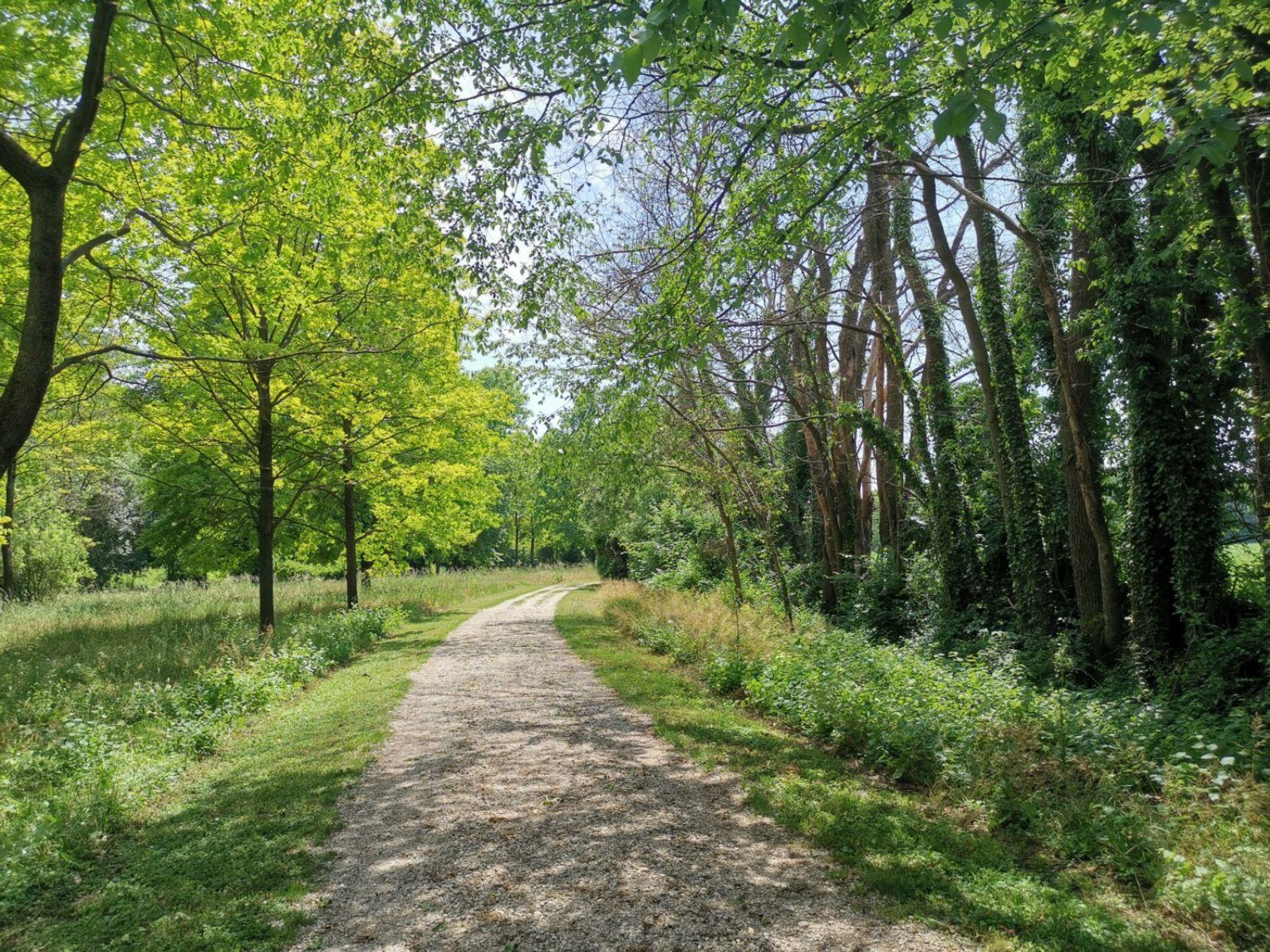 Passeggiate d'autunno