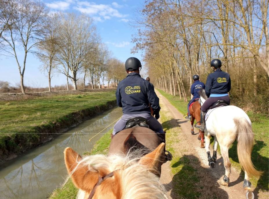 Passeggiata a Cavallo sul Dosso delle Giare