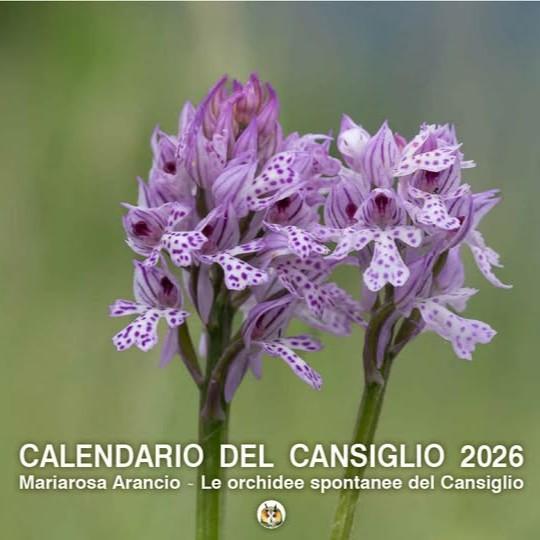 Cansiglio Estate