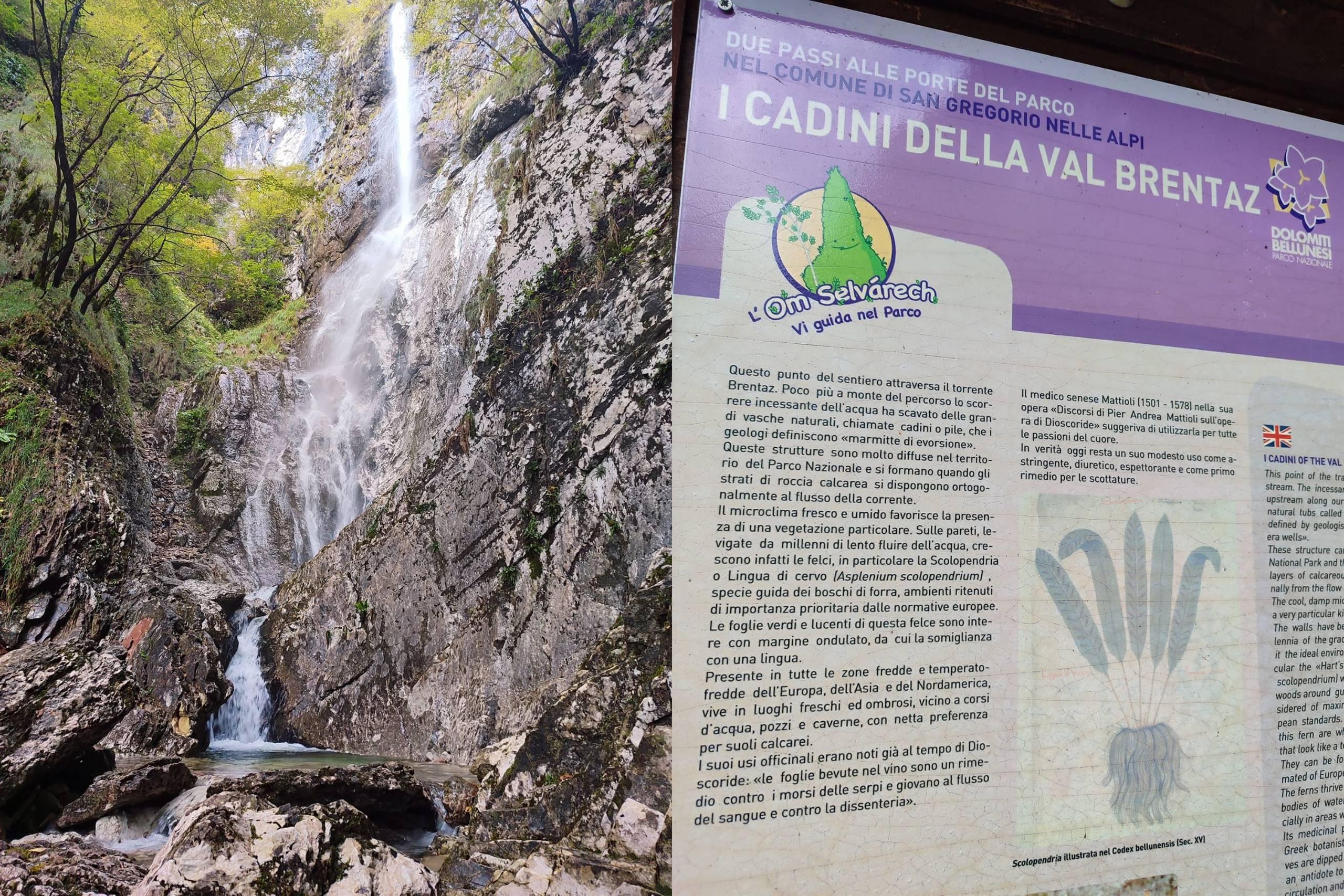 Cadini e cascata del Brentaz