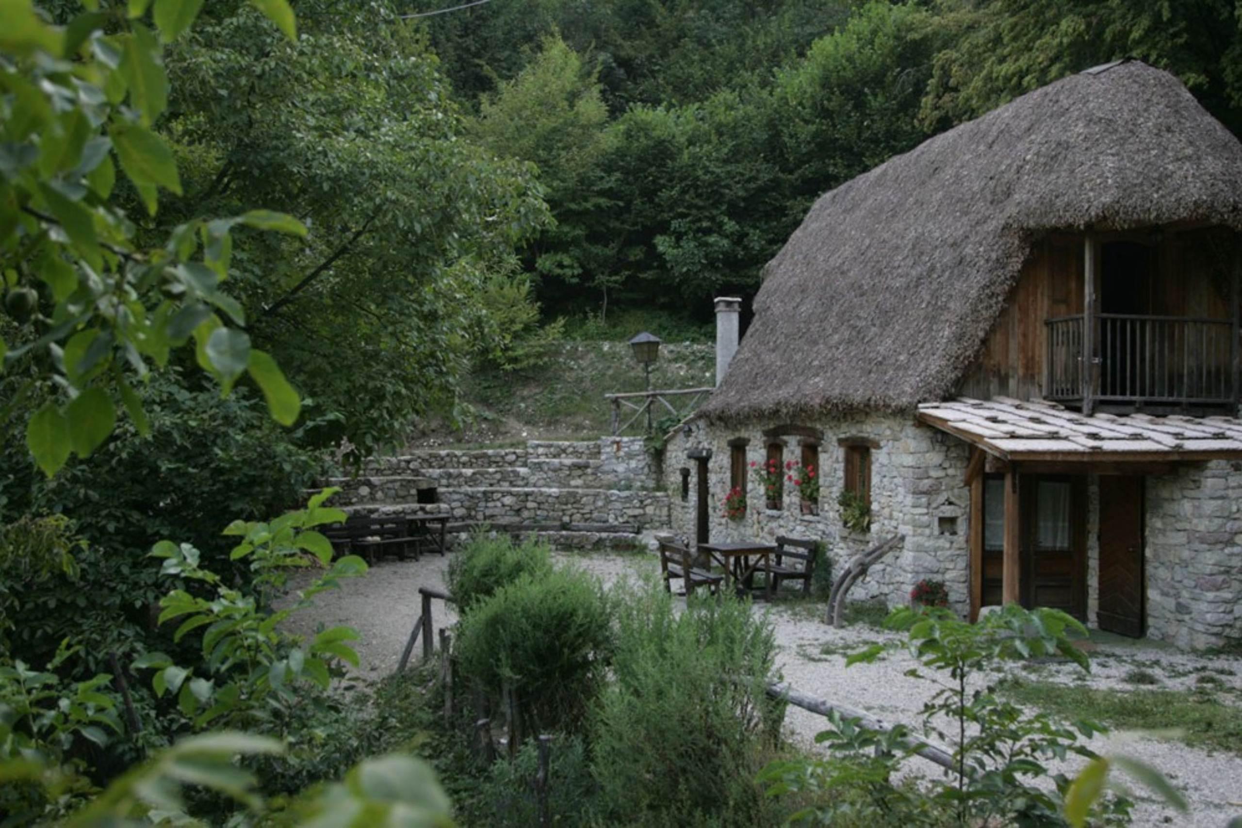 Agriturismo Albero degli Alberi
