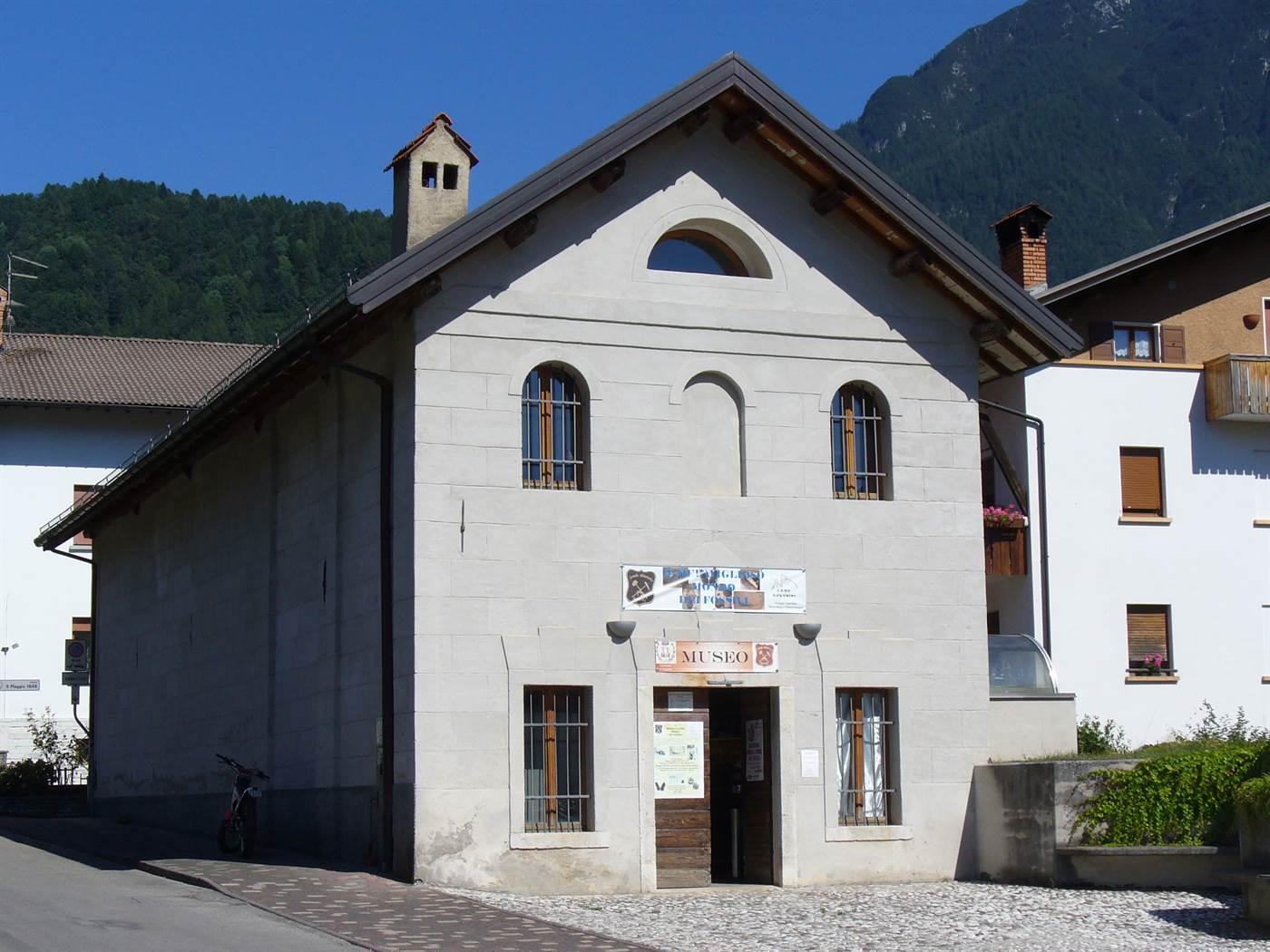 Museo di geologia paleontologia e mineralogia