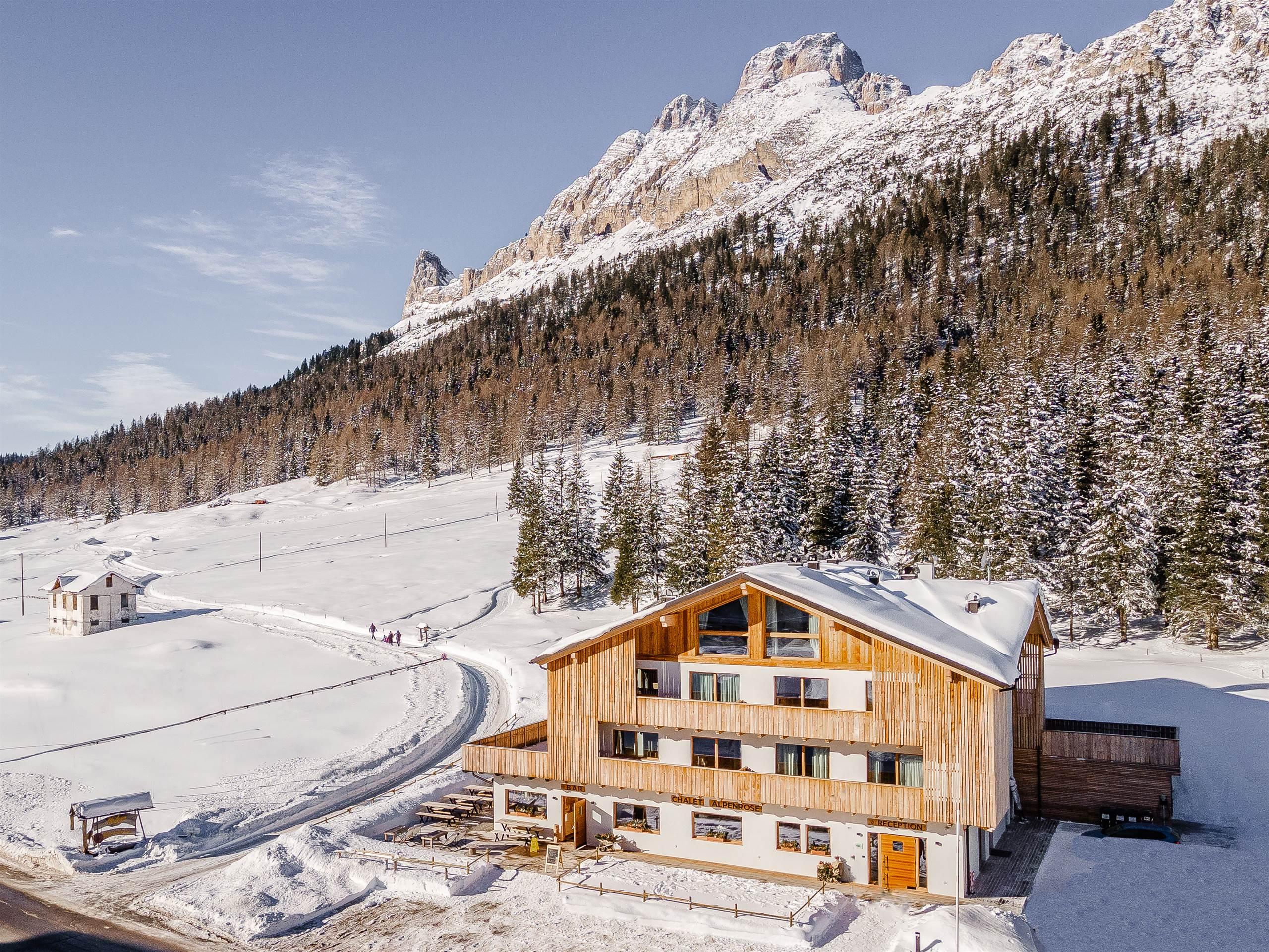 CHALET ALPENROSE - 3