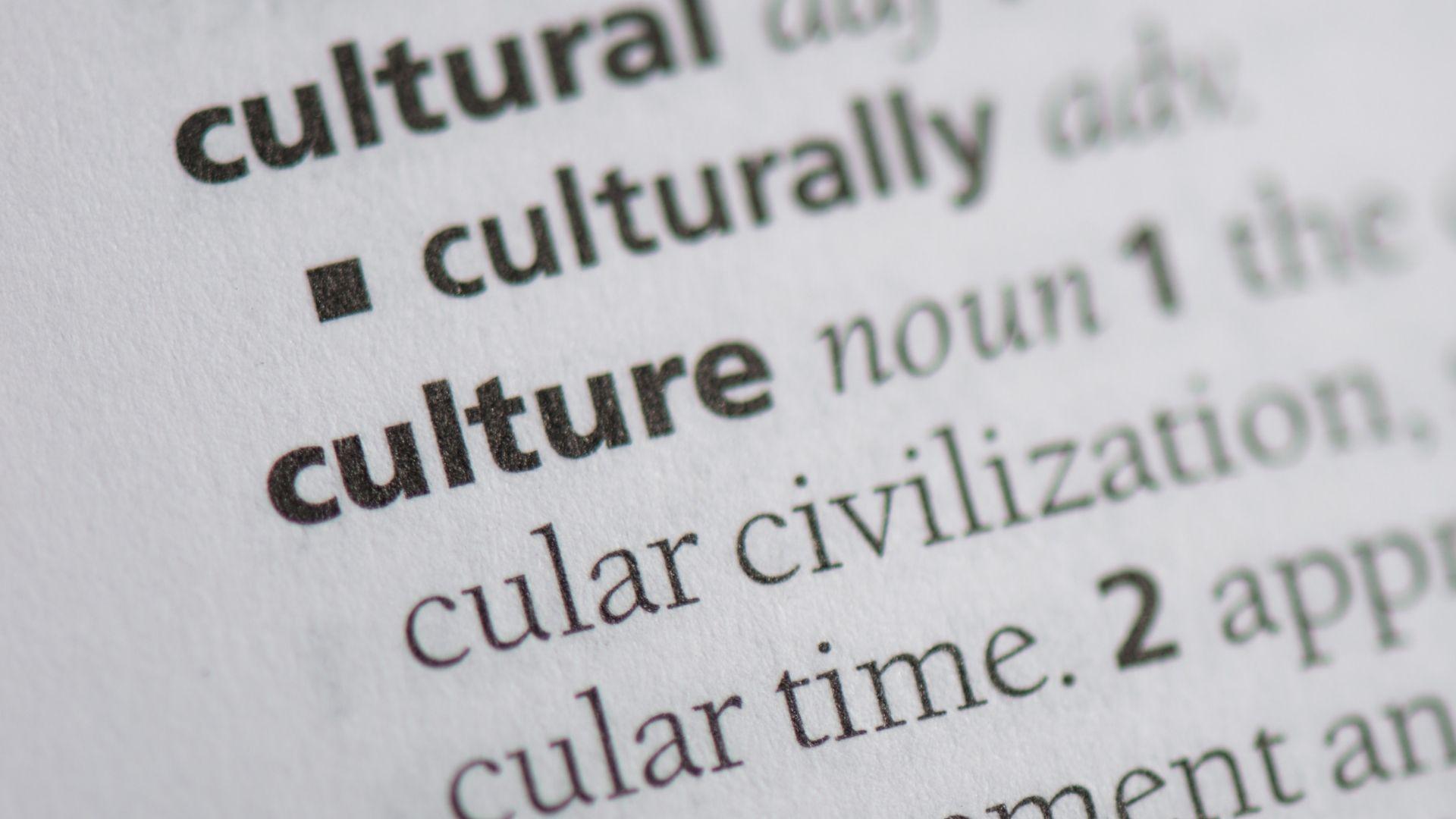 I venerdì della cultura
