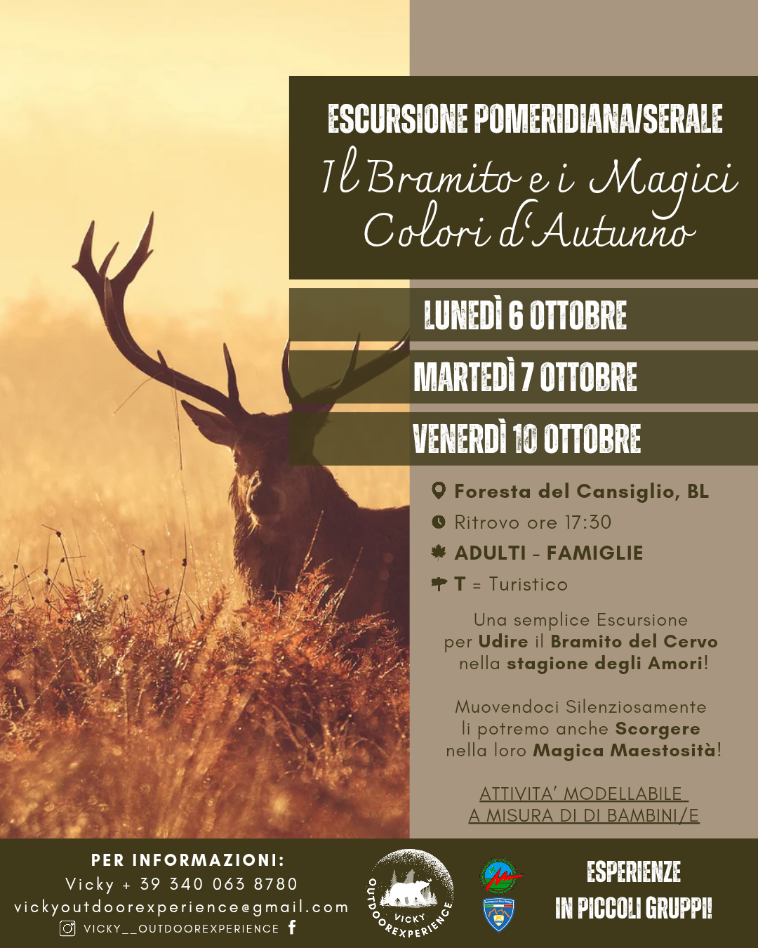 Il Bramito e i Magici Colori d’Autunno