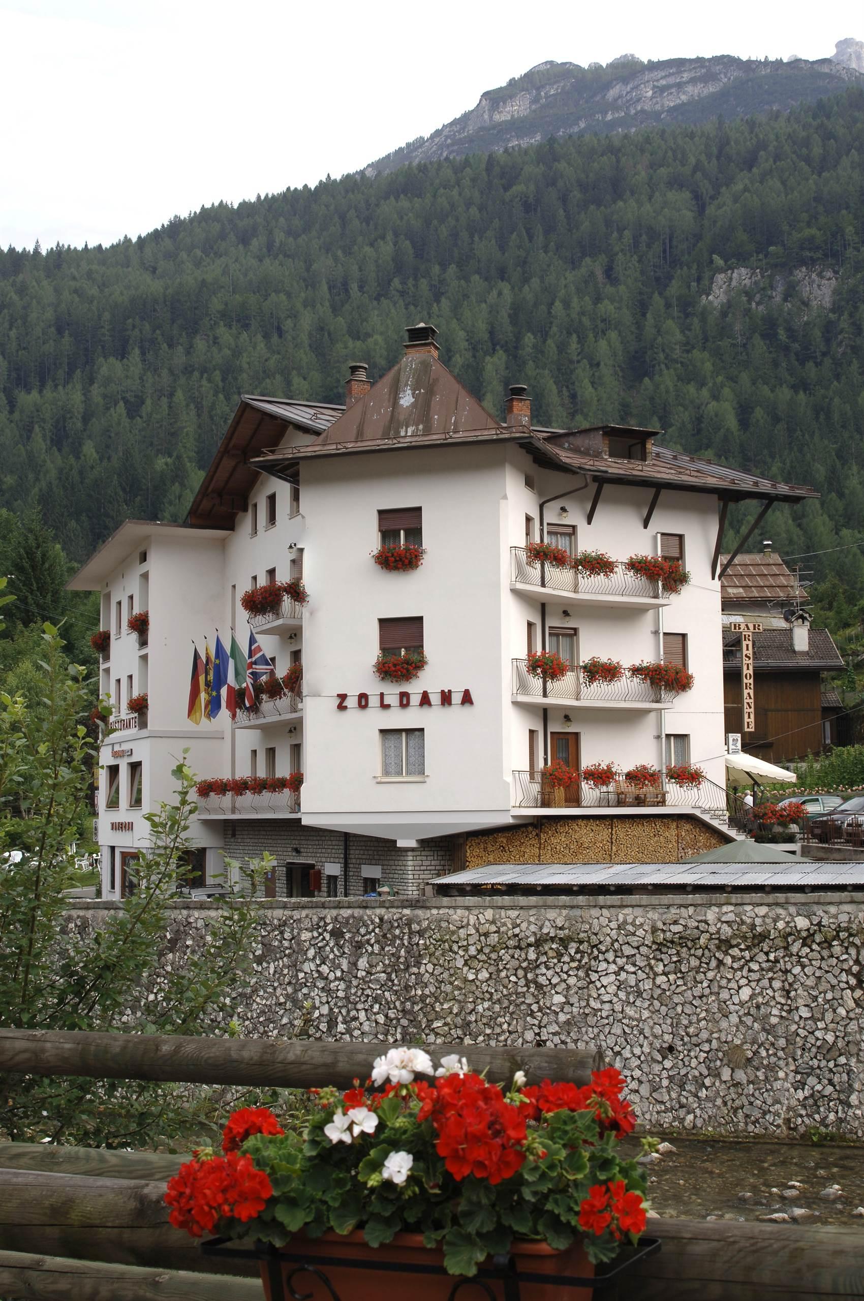 ZOLDANA - 3