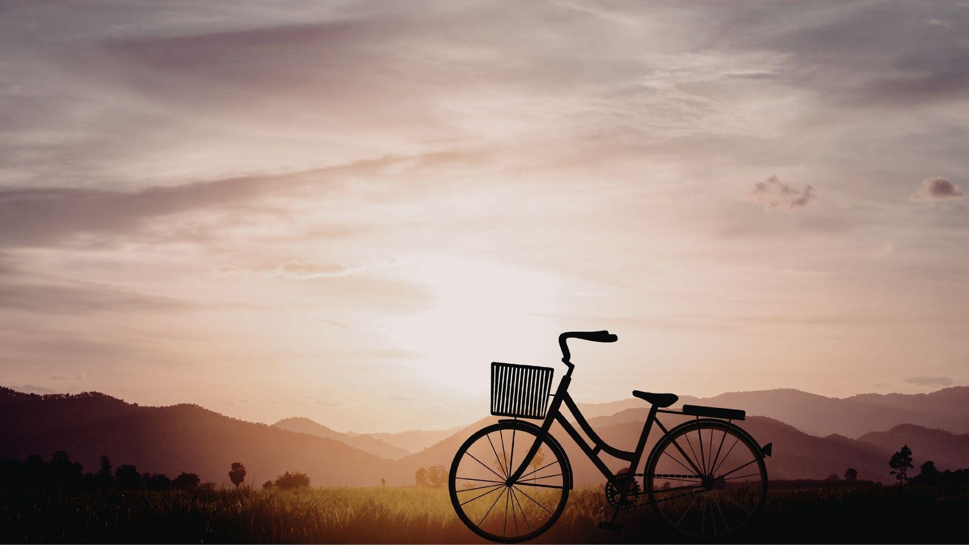 Pedali e altre storie