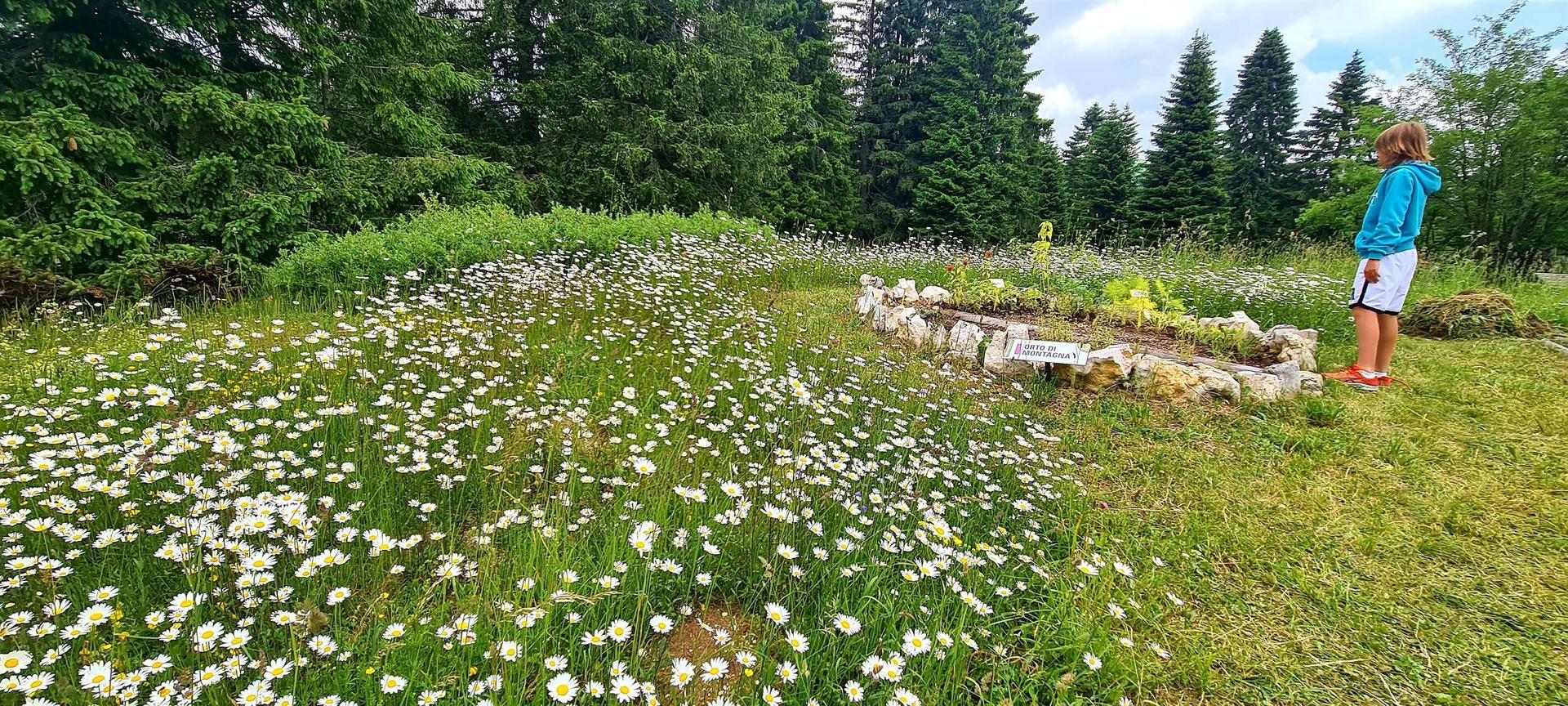 Gioca, Scopri, Esplora! - Festa di Apertura al Giardino Botanico!