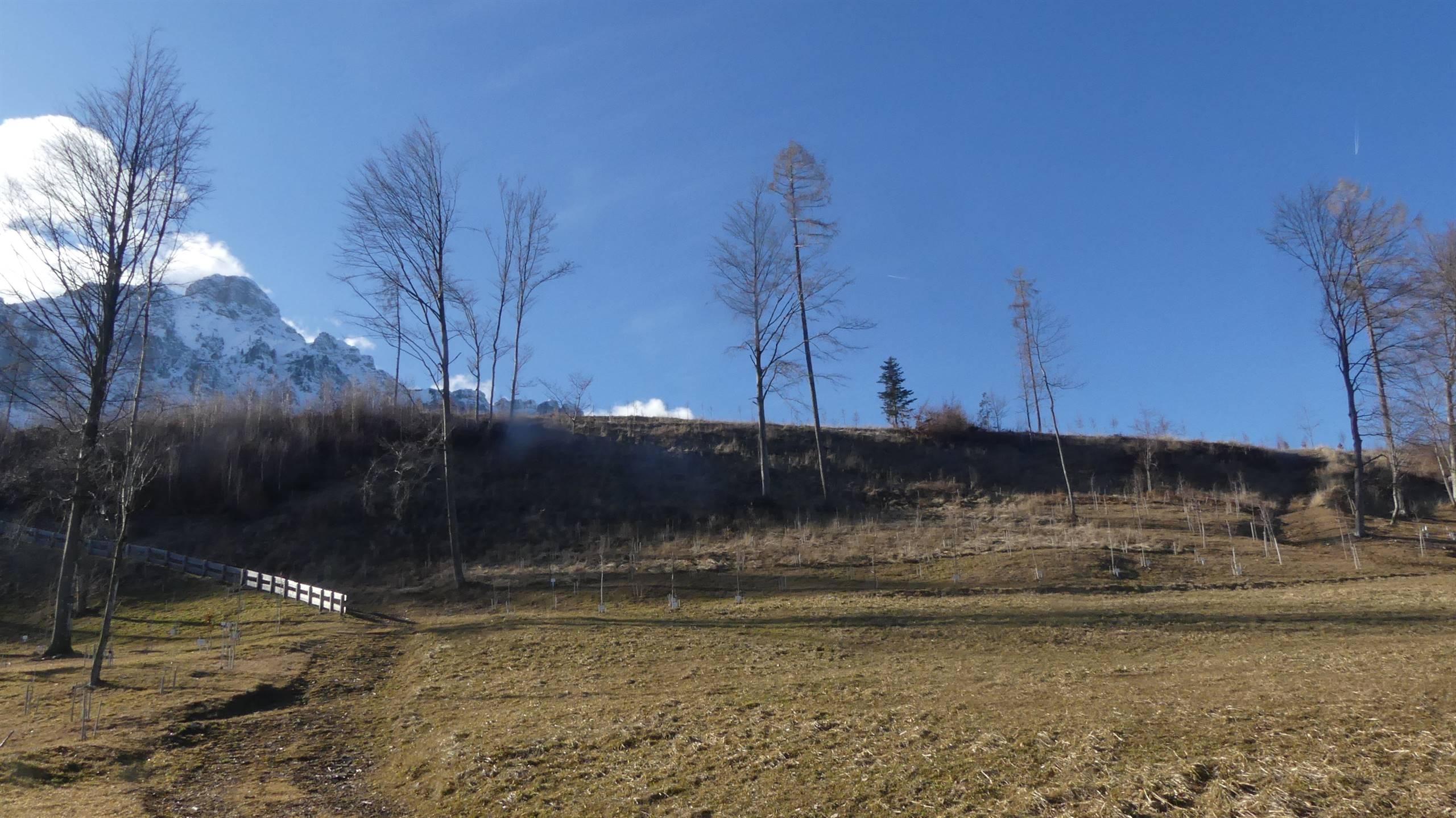 I quattro elementi della Natura
