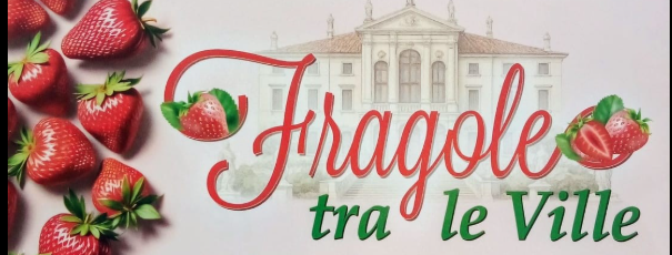 Fragole tra le Ville