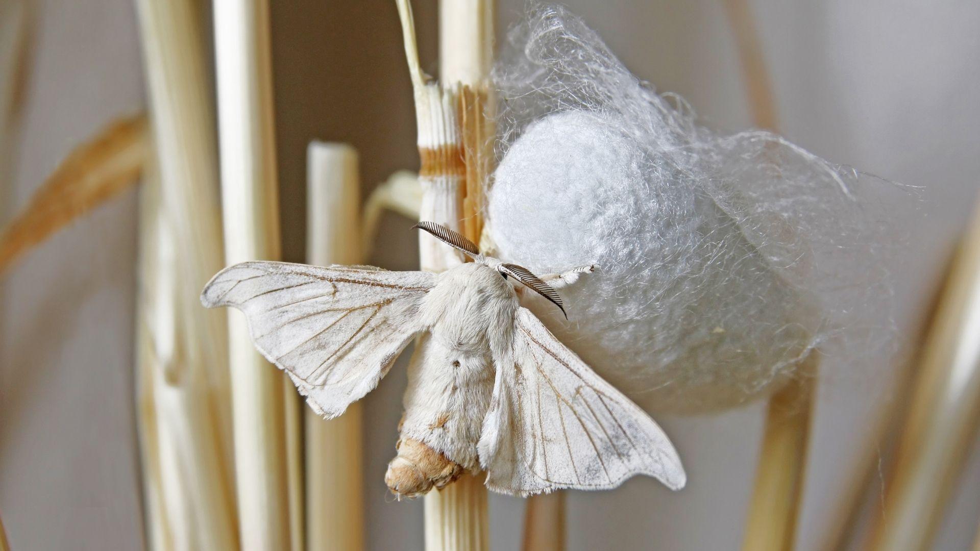 Proiezione documentario