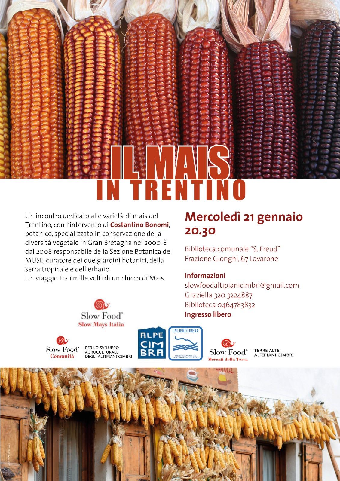 Il Mais in Trentino