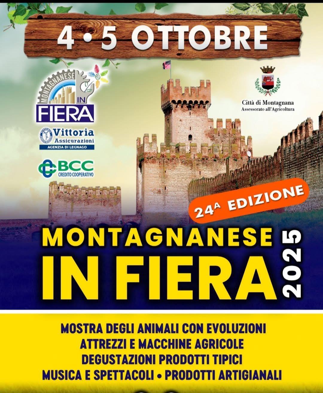 Montagnanese in fiera