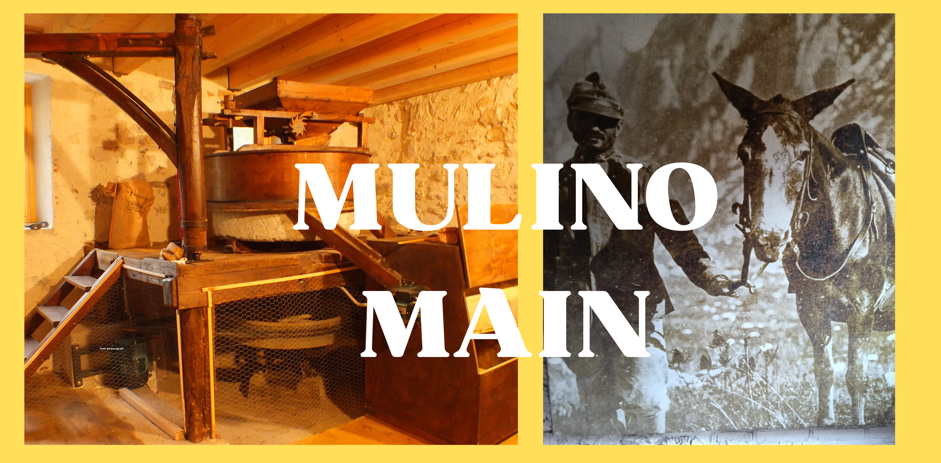 Mulino Main Aperto