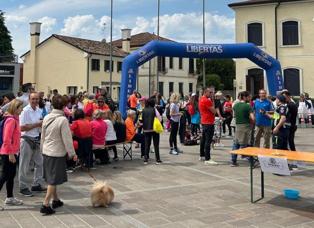 Camminata ludico motoria