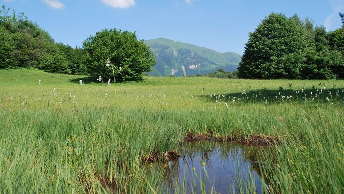 Le Torbiere di Valpiana